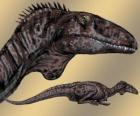 Zupaysaurus был средних теропод, достигает 4 м в длину, 1,20 высокий и весом 200 кг